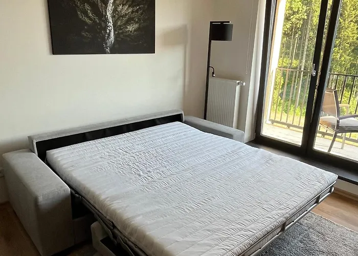 Apartman Charlie Černý Dŭl